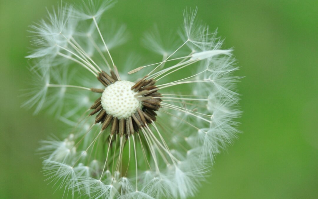 Perfectionisme: tips om het los te laten