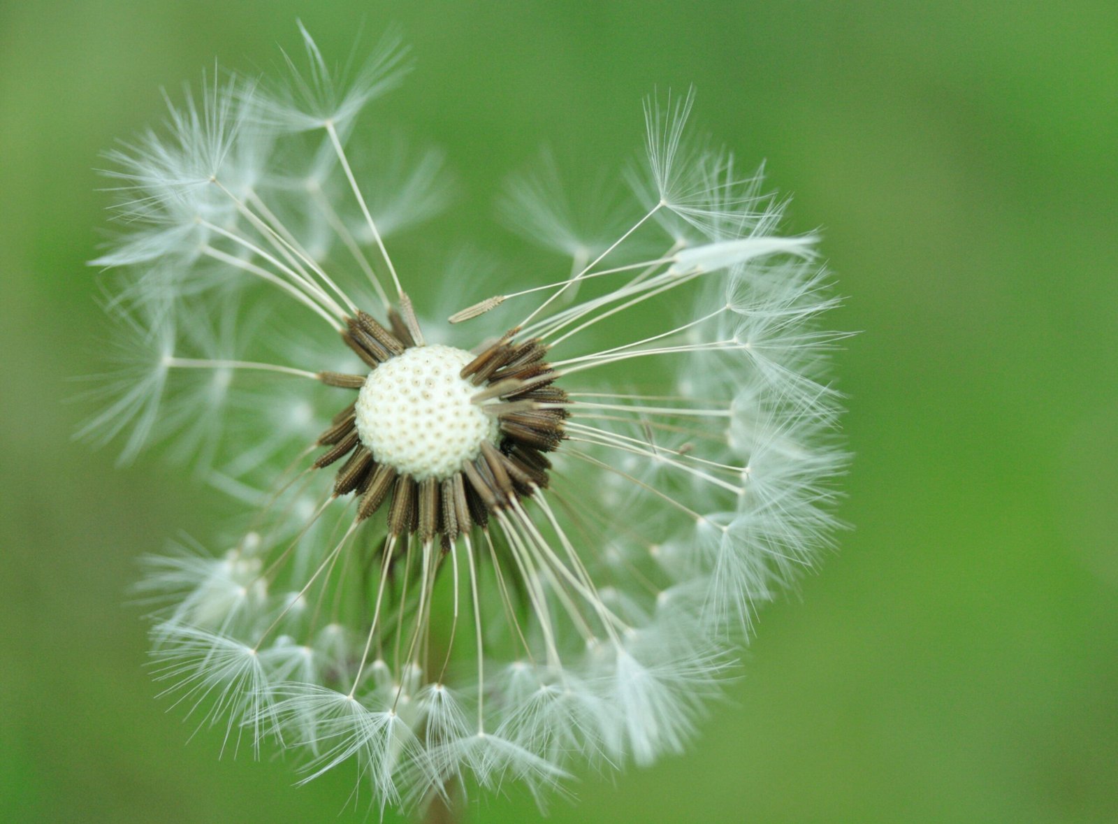 Rust in mijn hoofd - coaching