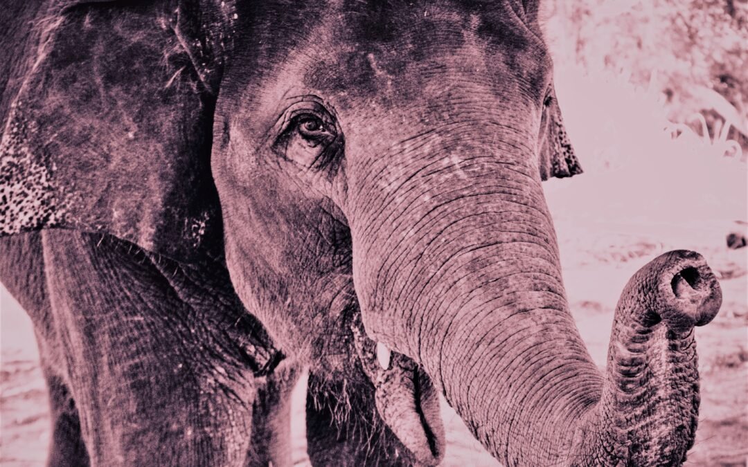 Minder stress? Doe maar niet!