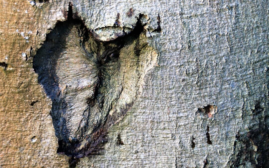 Je hebt van die momenten…