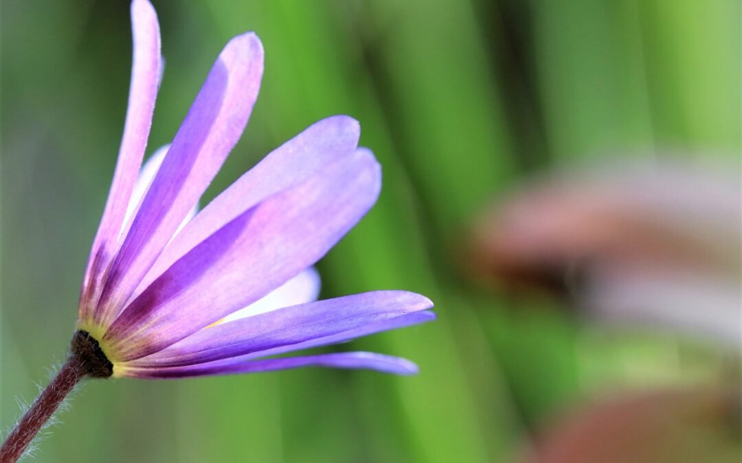 Nee zeggen – eenvoudig of niet?