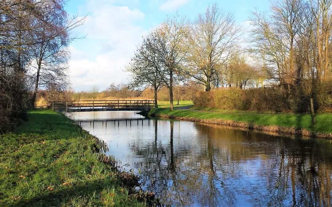 Ingrediënten voor een mooie dag
