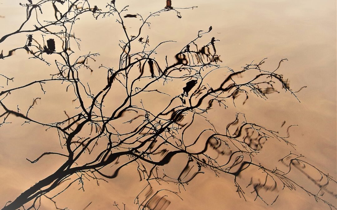 Is ‘druk zijn’ ons nieuwe merk?