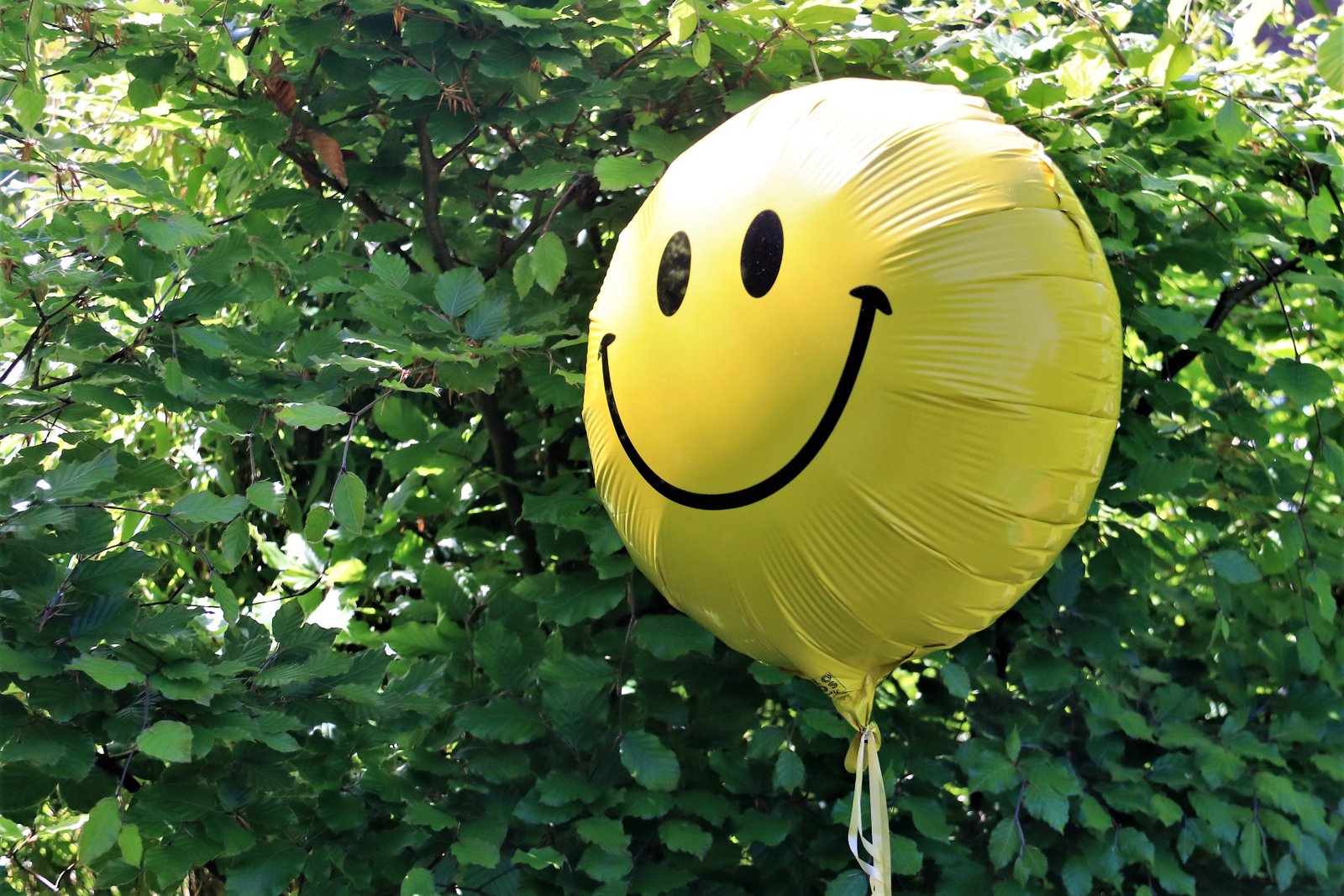 Smiley ballon voor een groene haag - Rust in mijn hoofd coaching 