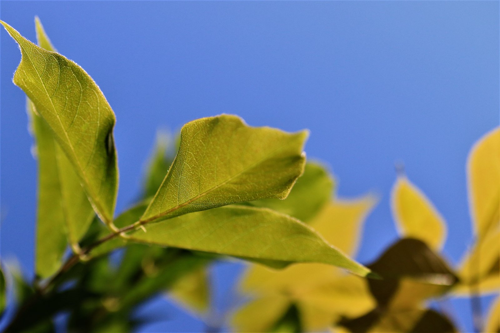 5 manieren om de dag goed te beginnen