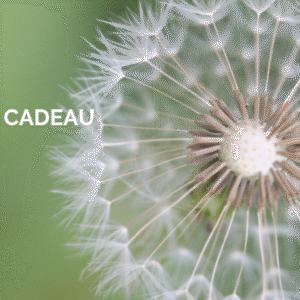 Rust in mijn hoofd cadeaubon