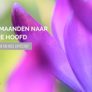 In 2 maanden naar Rust in je Hoofd